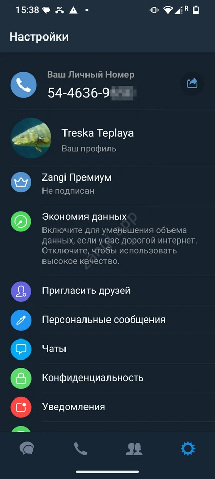 Экран настроек Zangi