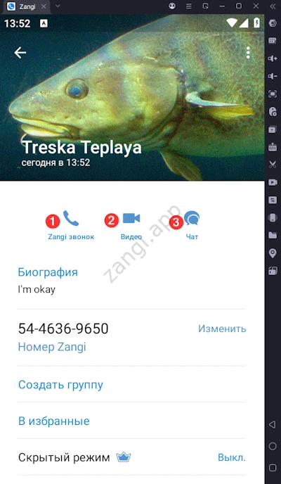 Действия с контактом