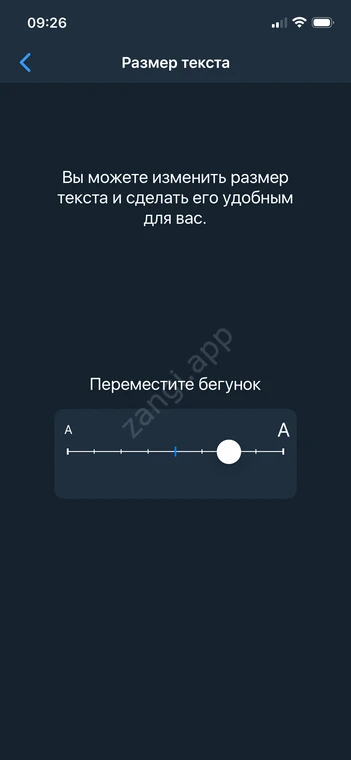 Настройки размера текстов