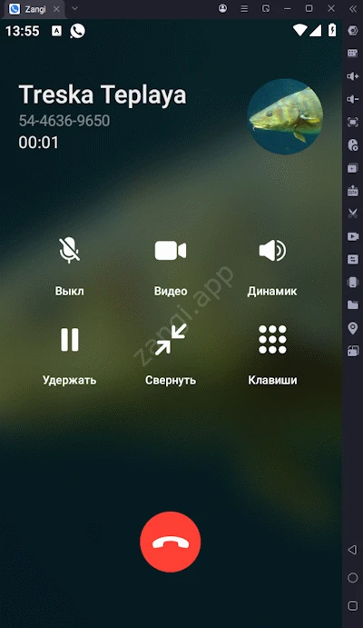 Общение в в Zangi с ПК